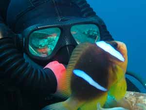 Rebreather Diver
