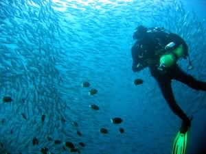 Big shoal