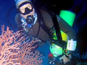 Aqaba Blue Hole