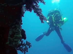 Decompressing on the Cedar Pride wreck