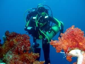 Decompressing on the Cedar Pride wreck