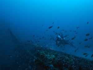 S.S. Britannic