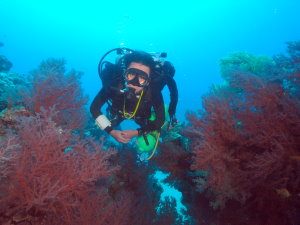 Aquarium Trimix Dive