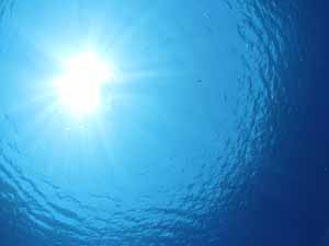 Sunburst