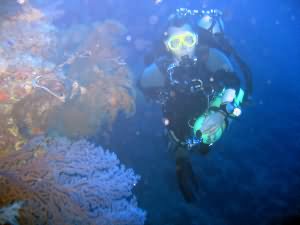 Aqaba Blue Hole