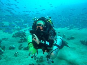 With a shoal of fish