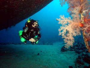 Under the Shrouk bow