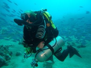 In fusilier shoal