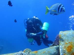 Cedar pride wreck