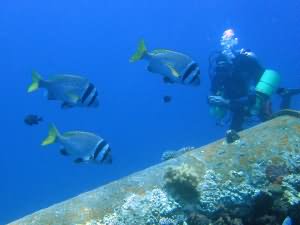 Taiyong wreck