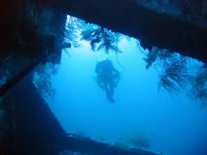 Taiyong wreck