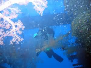 Taiyong wreck