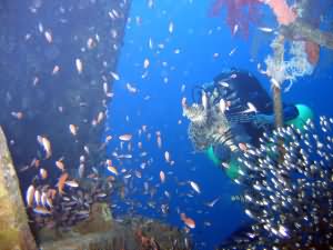 Taiyong wreck