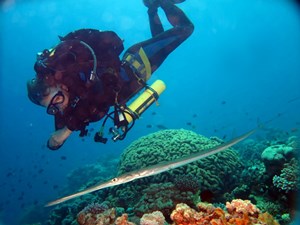 Pelagian DCCR diver