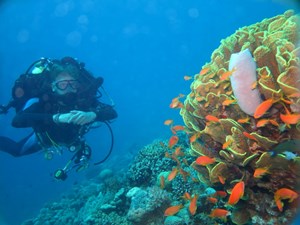 Pelagian Diver