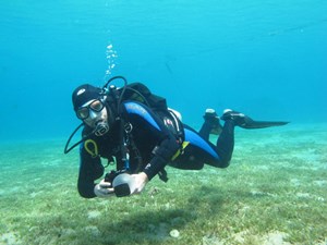 Diver over sea grass