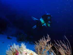 Technical diver very deep