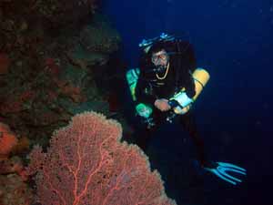 Technical diver by fan coral