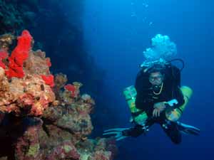 Technical diver on wall