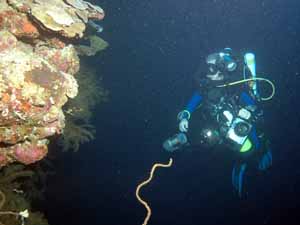 Aqaba Blue Hole