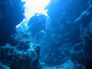 Yellowstone reef