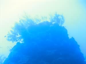 Yellowstone reef