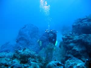 Yellowstone reef