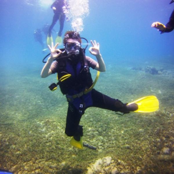 Red Sea Diving