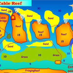 Underwater Cartographer (Unique to Dive Aqaba)