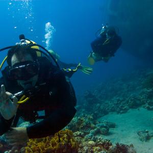 PADI Divemaster Course